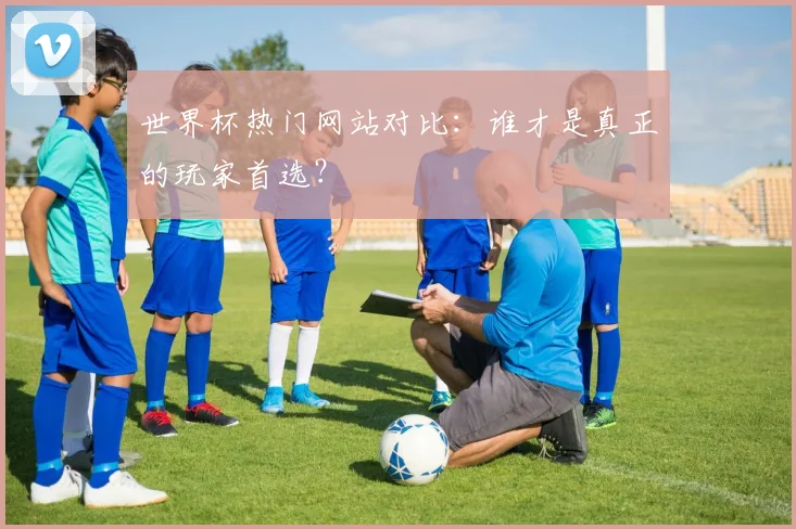 世界杯热门网站对比：谁才是真正的玩家首选？