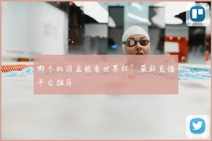 哪个机顶盒能看世界杯？最新直播平台推荐