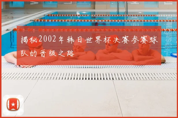 揭秘2002年韩日世界杯决赛参赛球队的晋级之路