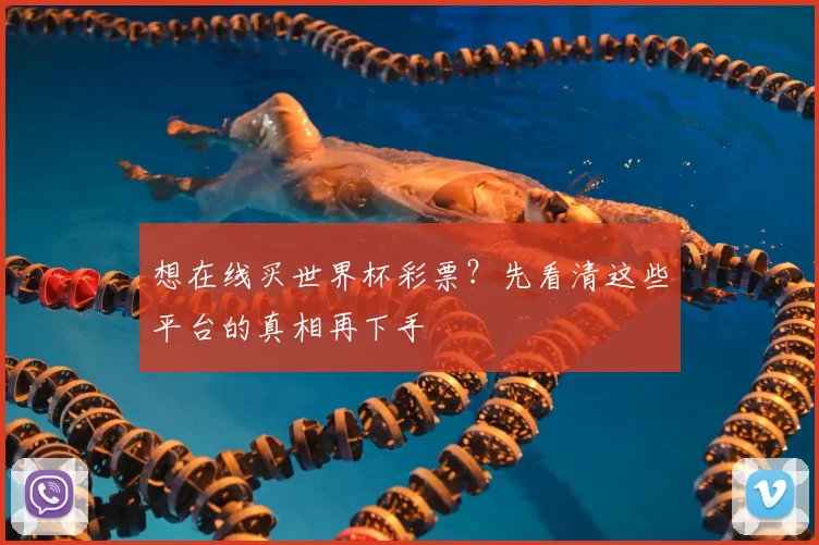 想在线买世界杯彩票？先看清这些平台的真相再下手