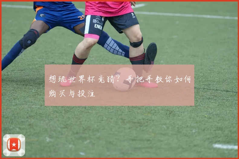 想玩世界杯竞猜？手把手教你如何购买与投注