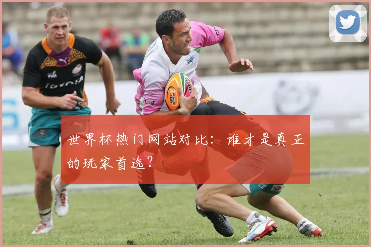 世界杯热门网站对比：谁才是真正的玩家首选？