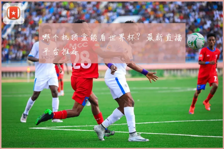 哪个机顶盒能看世界杯？最新直播平台推荐