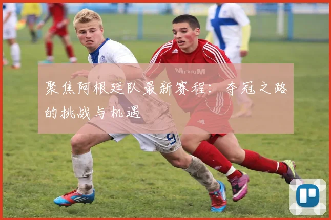 聚焦阿根廷队最新赛程：夺冠之路的挑战与机遇