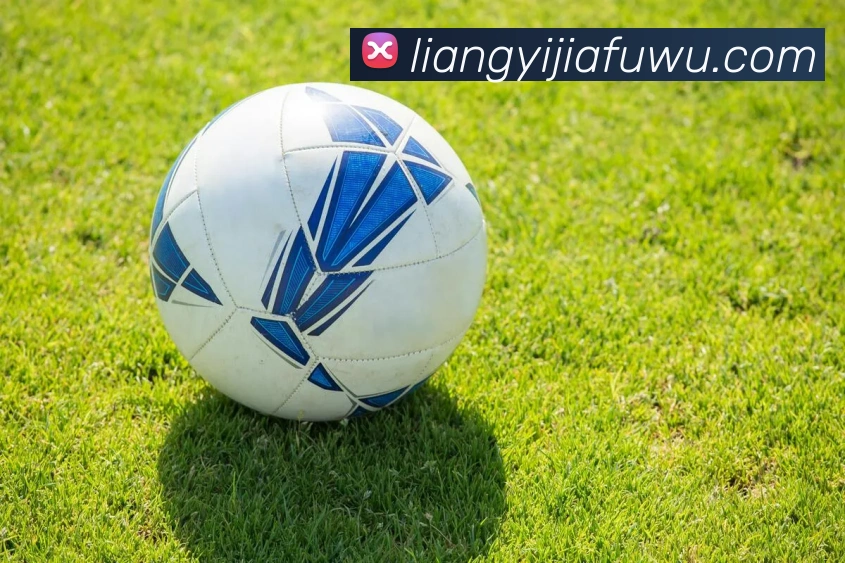 App Interface Preview